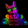 Colorful Cat Dj paint by number