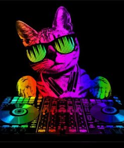 Colorful Cat Dj paint by number