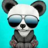 Cool Panda With Glasses Art paint by number