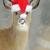 Cute Deer Wearing A Hat paint by number