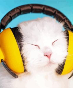 Cute Cat Wearing Headphones paint by number