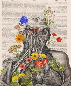 Floral Anatomy Illustrations paint by number