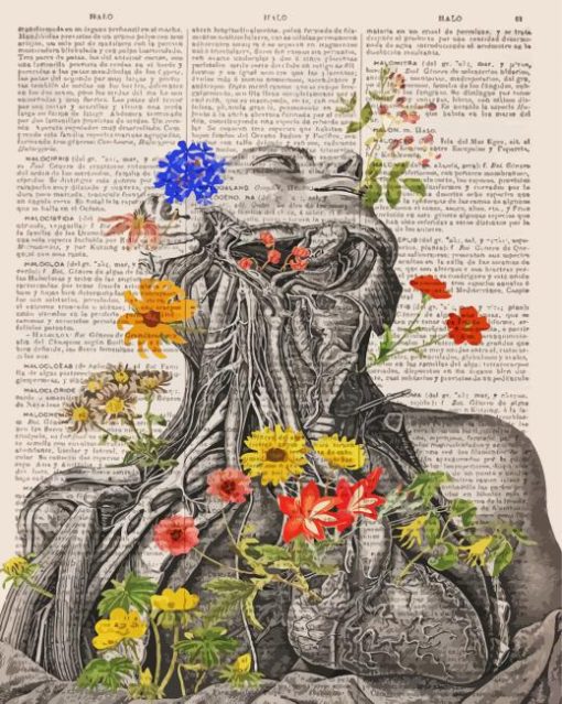 Floral Anatomy Illustrations paint by number