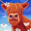 Highland Cow Art With Daisies paint by number