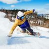 Newfoundland Skiing paint by number