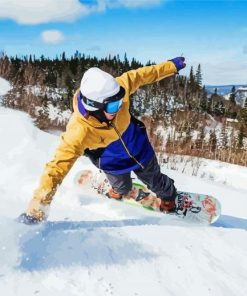 Newfoundland Skiing paint by number