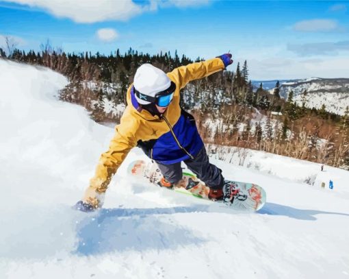 Newfoundland Skiing paint by number