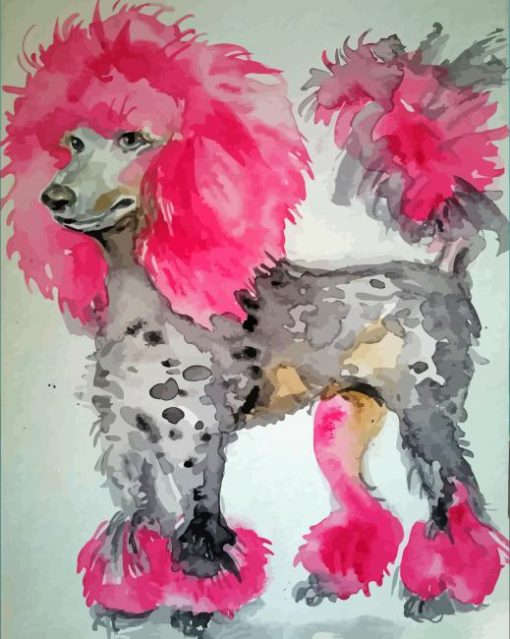 Pink Poodle Dog paint by number