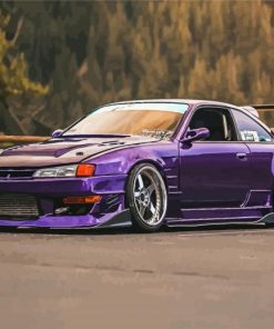 Purple Silvia paint by number