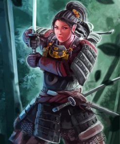 Samurai Woman Warrior paint by number