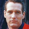 The American Actor Paul Newman paint by number