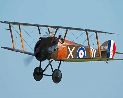 Vintage Bi Plane paint by number