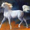 White Arabian Horse paint by number