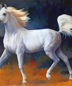 White Arabian Horse paint by number