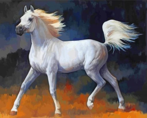 White Arabian Horse paint by number