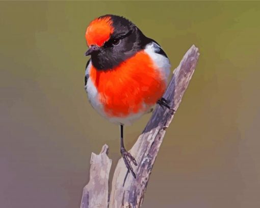 Aesthetic Red Capped Robin Bird paint by number