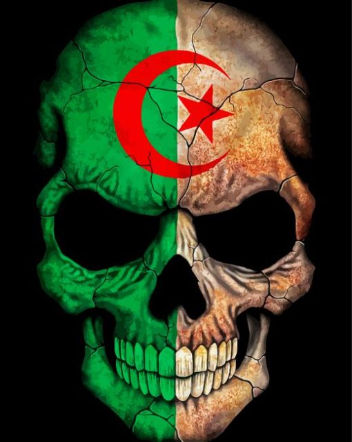 Algerian Skull paint by number