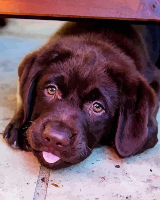 Baby Chocolate Lab paint by number