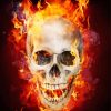 Blazing Skull Illustration paint by number