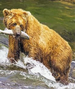 California Grizzly Bear paint by number