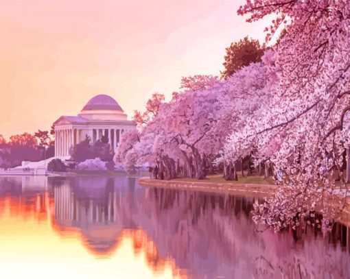 Cherry Blossoms Washington DC paint by number