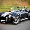 Classic Ford Shelby Cobra paint by number