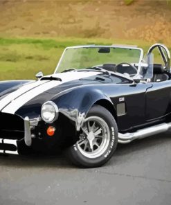 Classic Ford Shelby Cobra paint by number