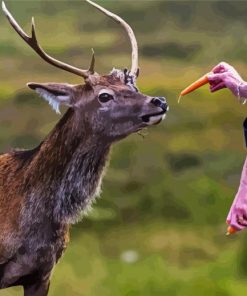 Deer Feeding paint by number