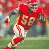 Derrick Thomas American Football Player paint by number