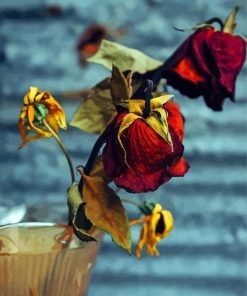 Dying Roses In Vase paint by number