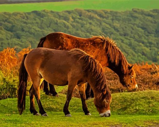 Exmoor Pony Landscape paint by number