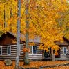 Fall Cabin Landscape paint by number