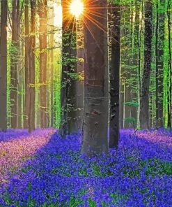 Forest With Bluebells paint by number