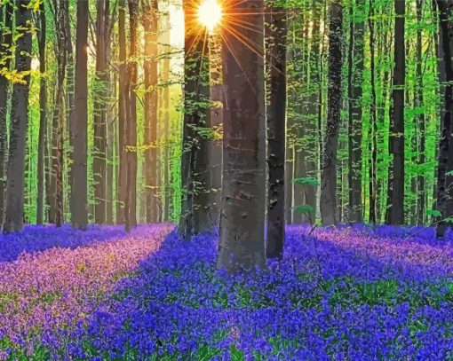 Forest With Bluebells paint by number