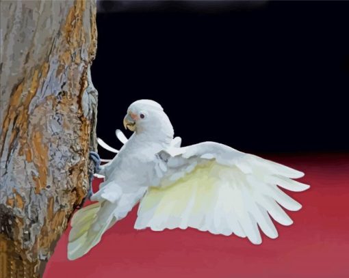 Goffins Cockatoo Flying paint by number