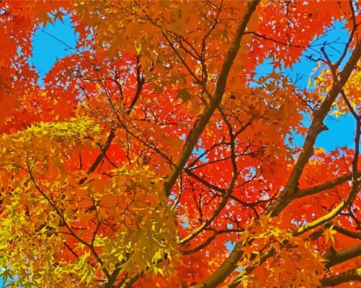 Golden October Trees paint by number