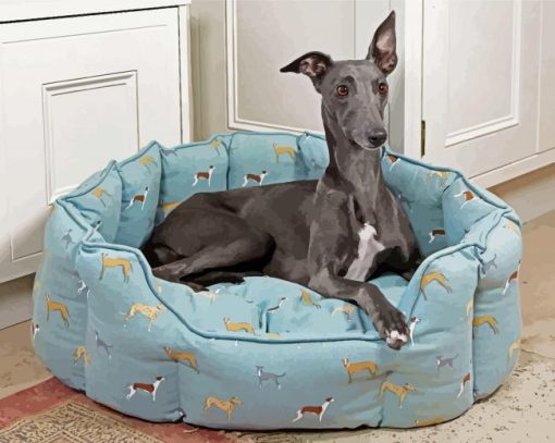 Grey Whippet Lurcher paint by number