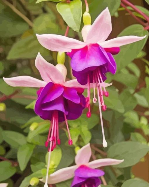 Hanging Baskets paint by number