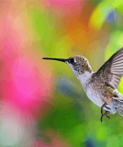 Hummingbird And Bee paint by number