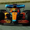 Lando Norris F1 Car paint by number