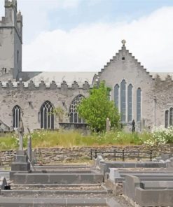 Limerick Saint Marys Cathedral paint by number