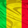 Mali Flag paint by number