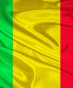 Mali Flag paint by number