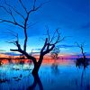 Menindee Dead Tree Reflection paint by number