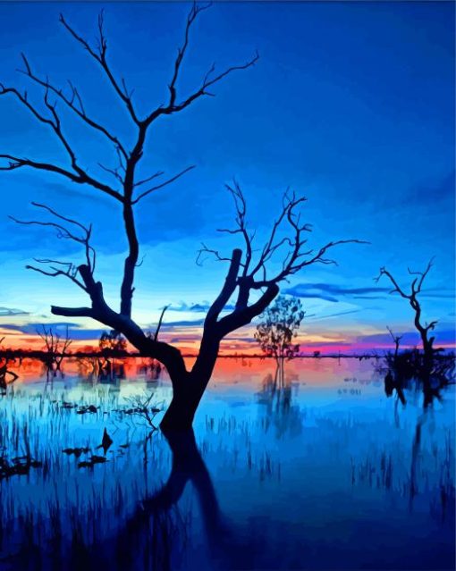 Menindee Dead Tree Reflection paint by number