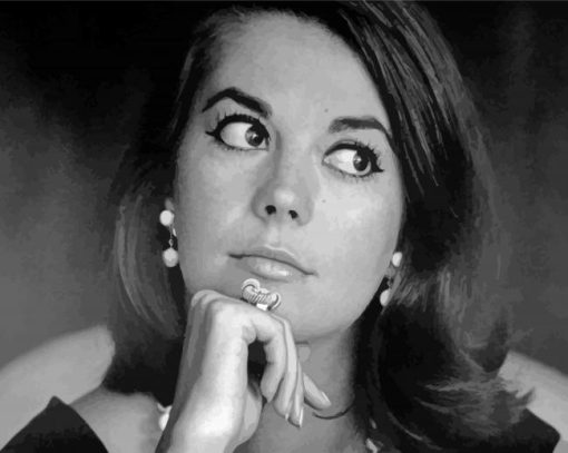 Natalie Wood paint by number