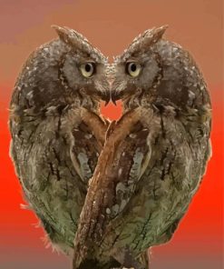 Owls In Love paint by number