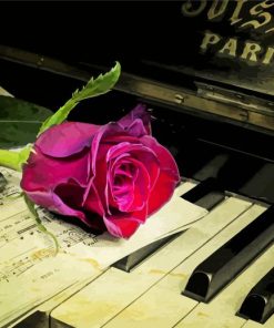 Pink Rose On A Piano paint by number