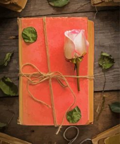 Pink Rose On Old Book paint by number