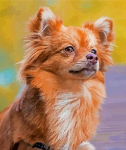 Pomchi Dog Animal paint by number